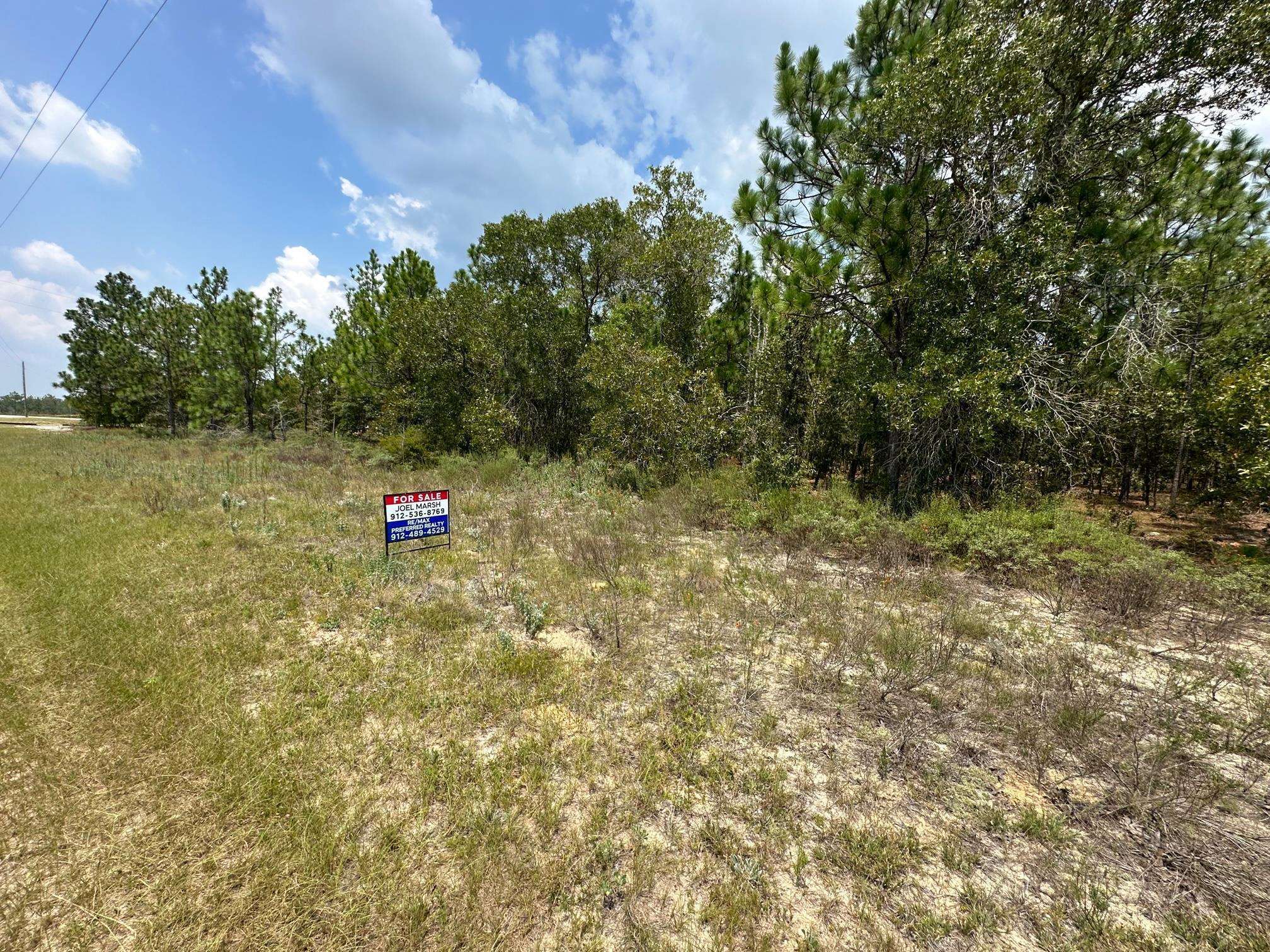 0 Highway 46 Metter, GA 30471 - Photo 4 of 5 a view of outdoor space and yard