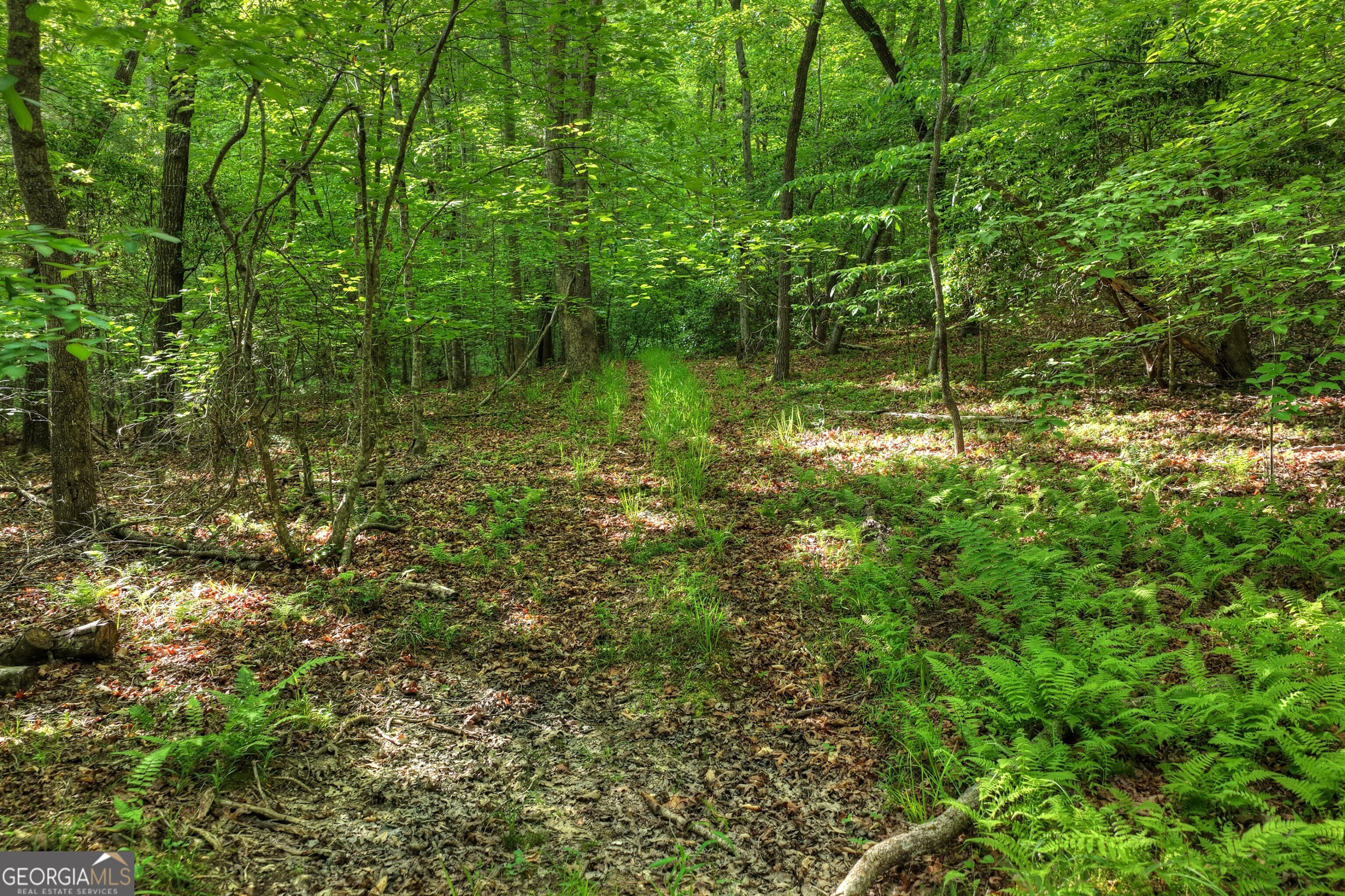 8-ac Mcnelley Road Morganton, GA 30560 - Photo 26 of 47