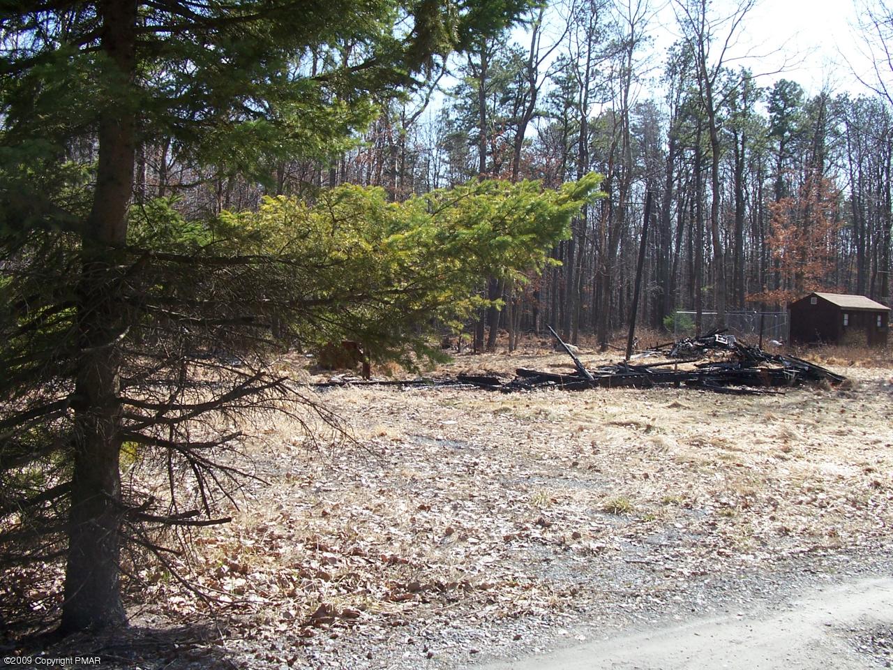 812 Pine Road Effort, PA 18330 - Photo 1 of 3 a view of outdoor space with trees
