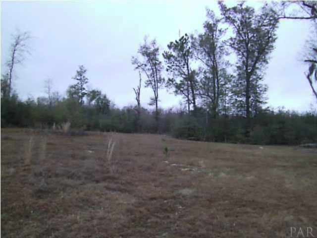 810 Barth Road Molino, FL 32577 - Photo 16 of 16 Yep over ten acres in McDavid