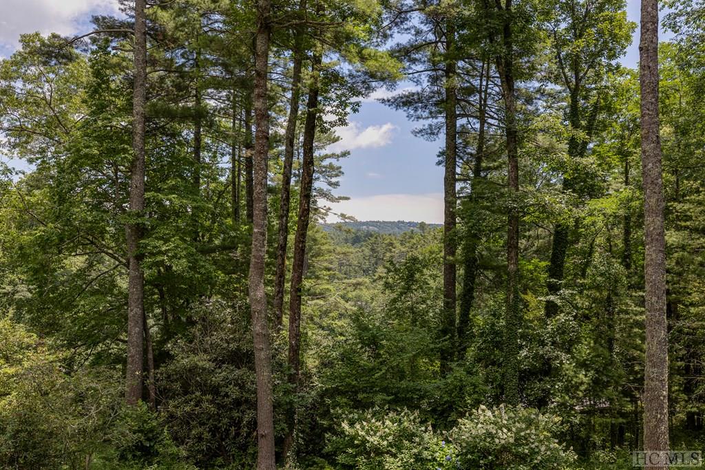 645 Wyanoak Road Highlands, NC 28741 - Photo 43 of 68 Gallery Image 43