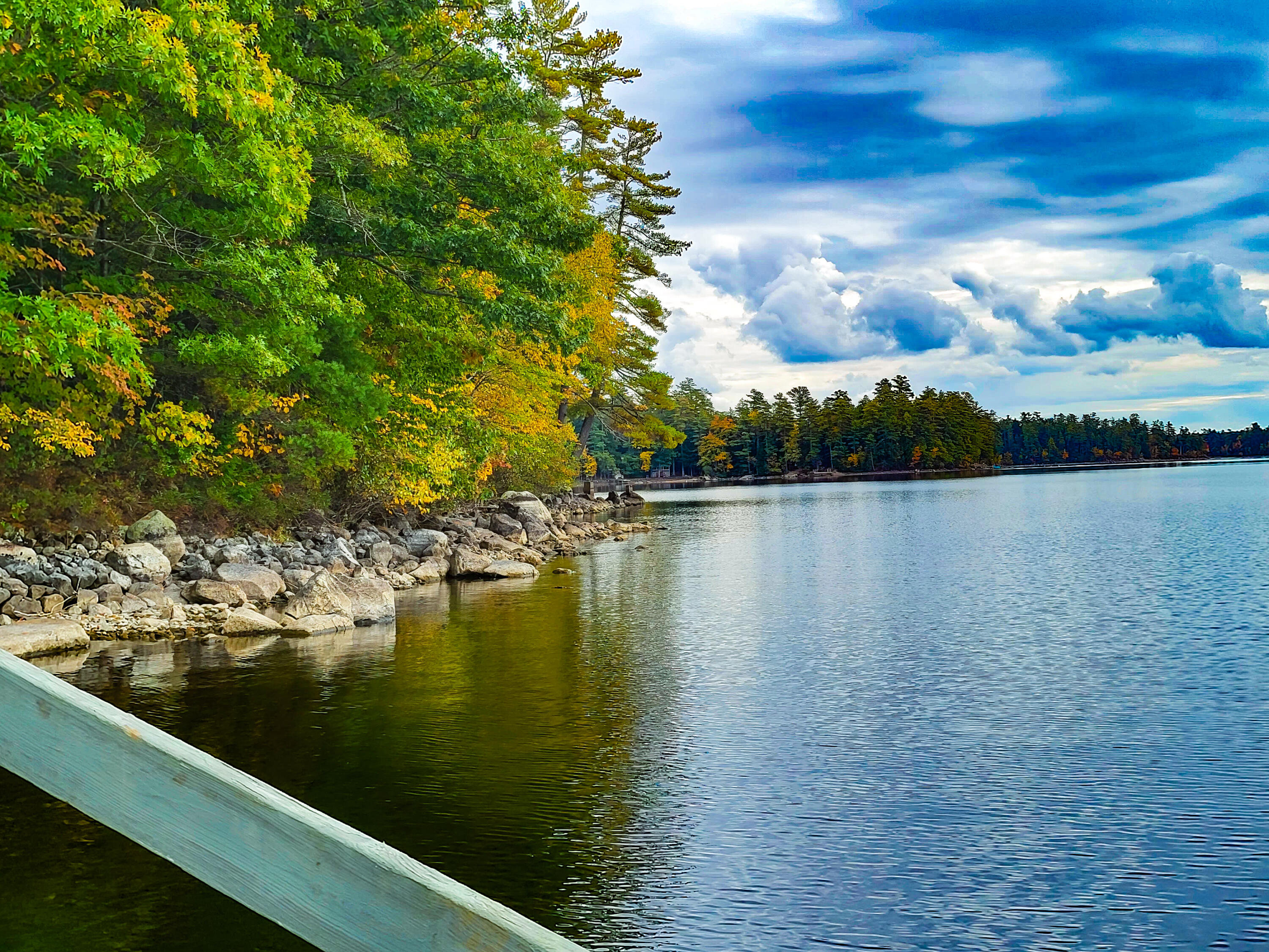 View from the Dock