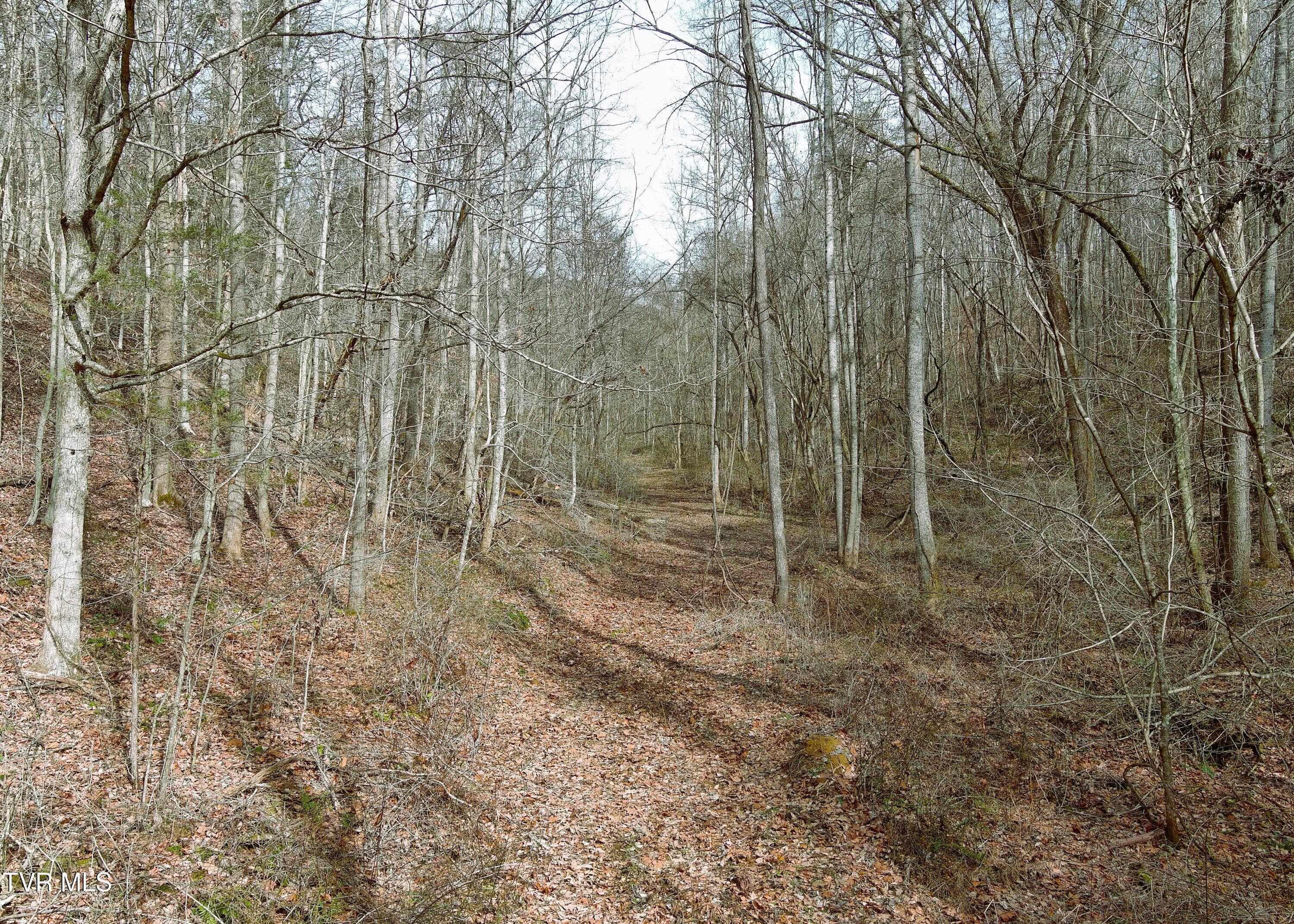 0 Speedwell Church Road, Unit 7 Bulls Gap, TN 37711 - Photo 16 of 32 16