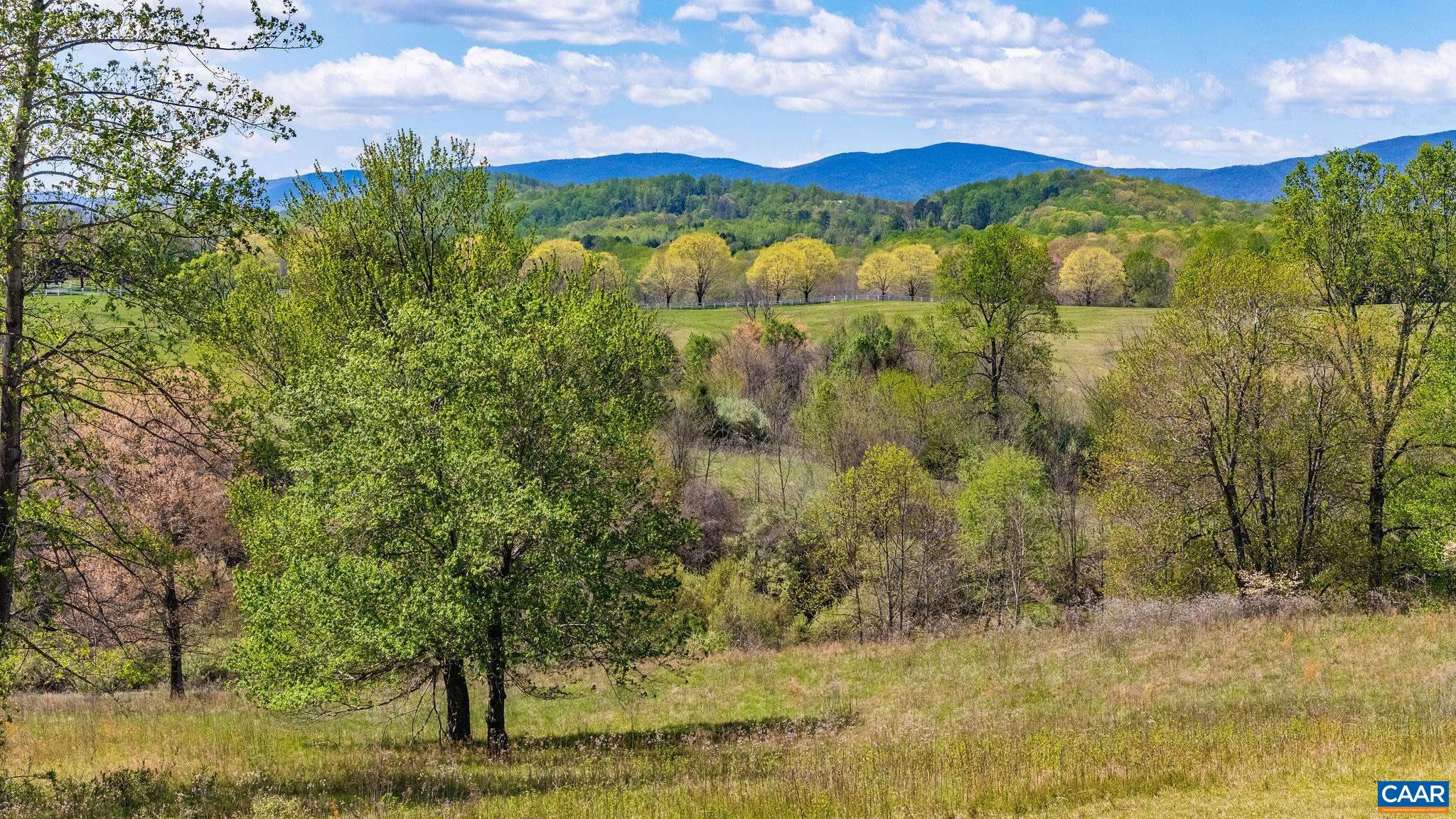 21-acres Tbb Bloomfield Road Charlottesville, VA 22903 - Photo 11 of 12