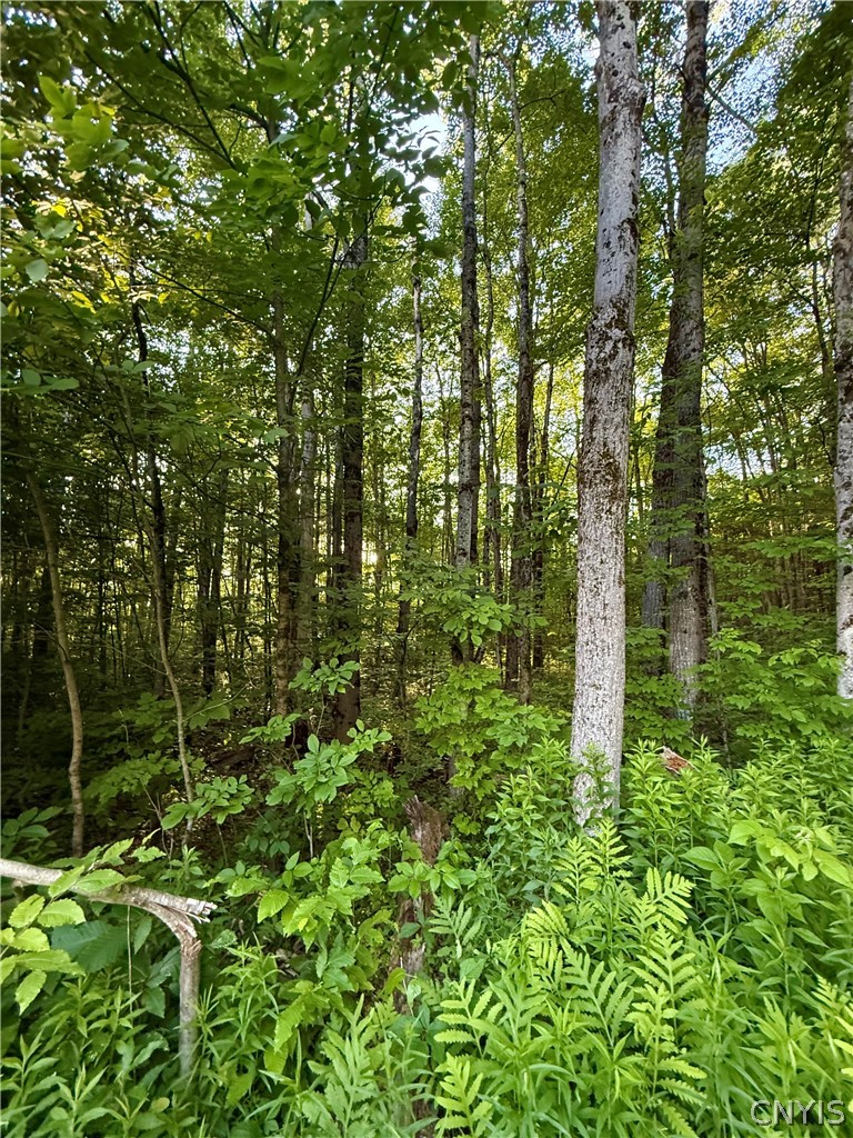 9191 Furman Mills Road Brookfield, NY 13460 - Photo 17 of 30