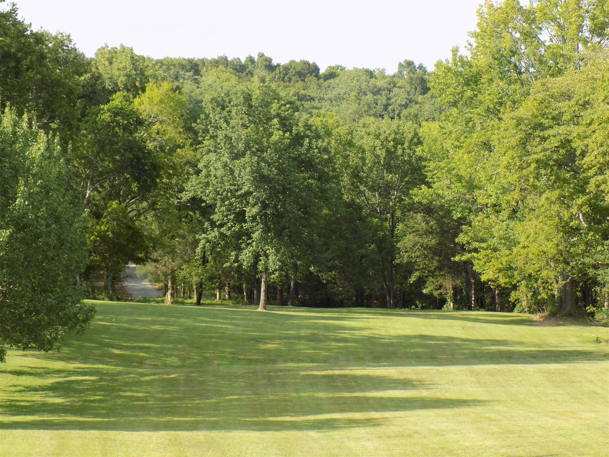 4 Cedar Grove Road Lebanon, TN 37087 - Photo 3 of 7 Gallery Image 3