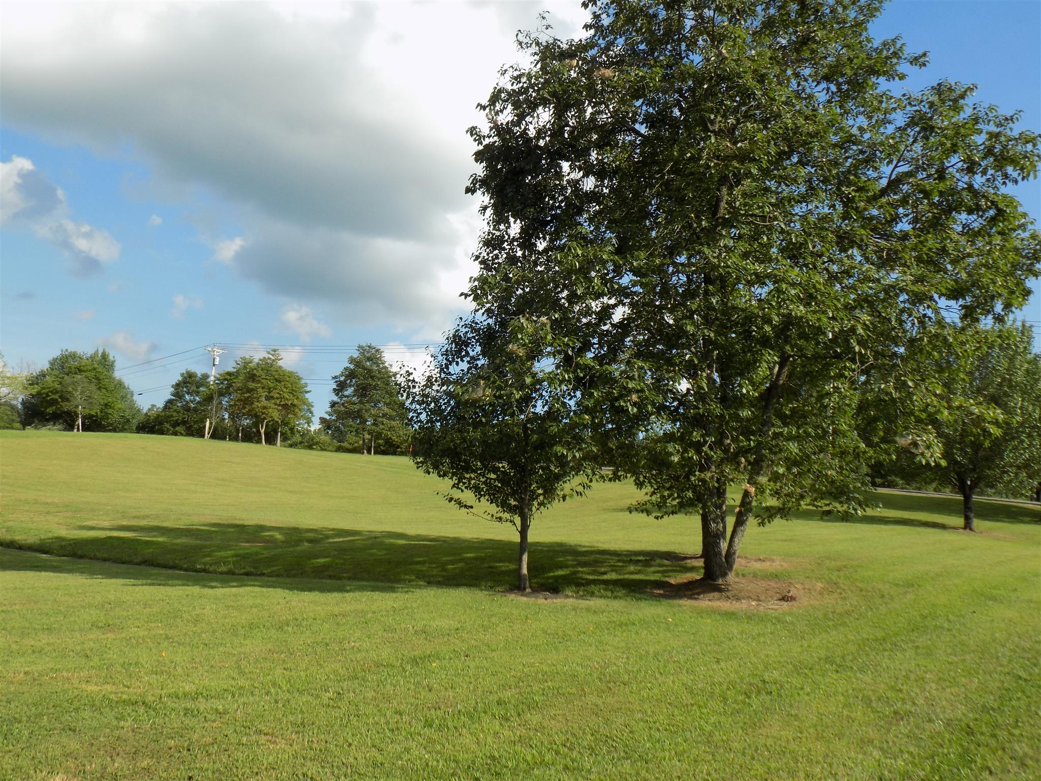 4 Cedar Grove Road Lebanon, TN 37087 - Photo 5 of 7 Gallery Image 5
