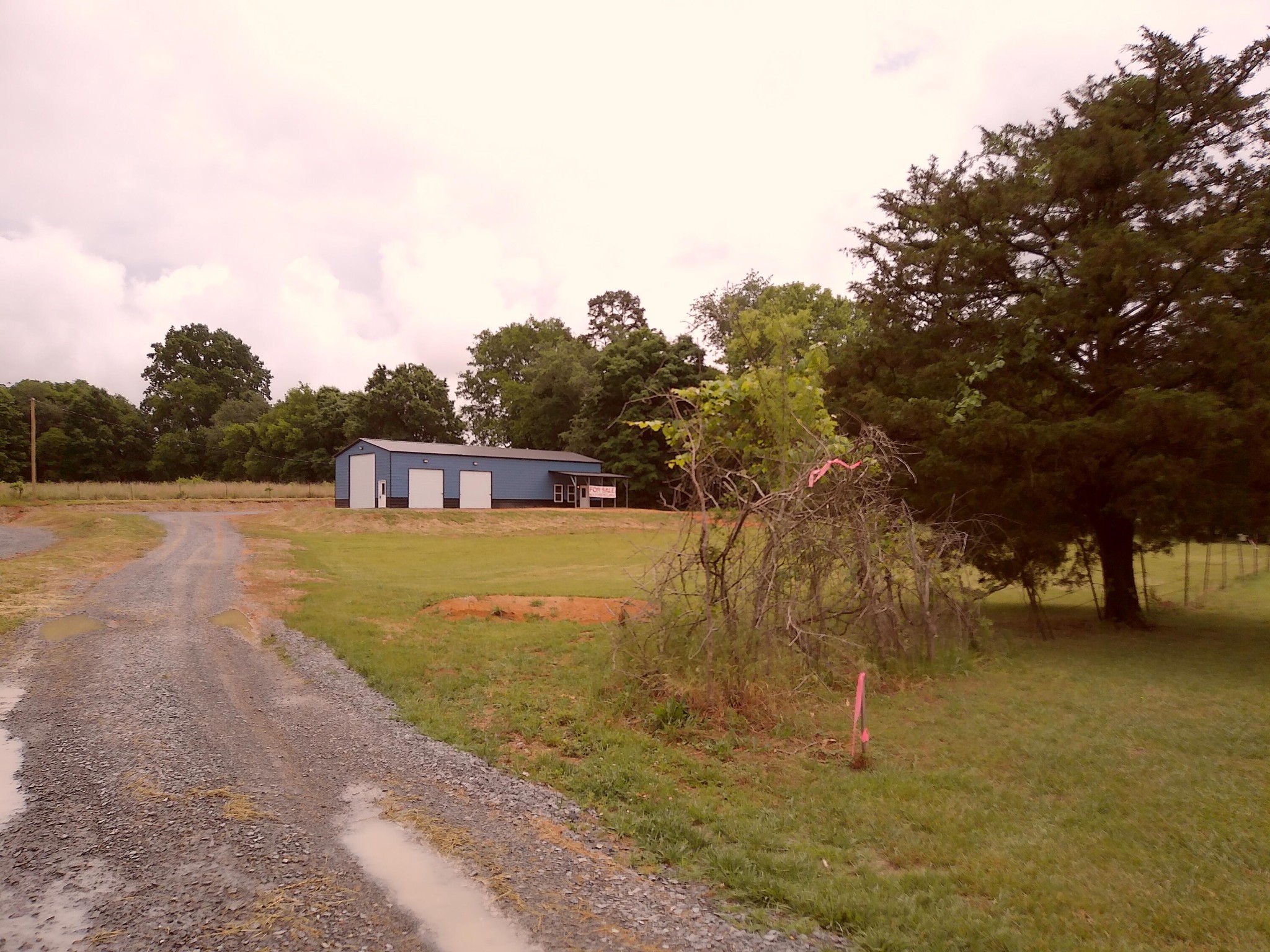 5668 Tennessee 58 Decatur, TN 37322 - Photo 6 of 24 a view of a house with a yard