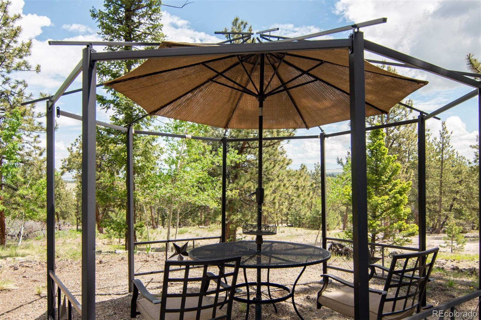 1620 Bellows Road Hartsel, CO 80449 - Photo 15 of 40 Gallery Image 15
