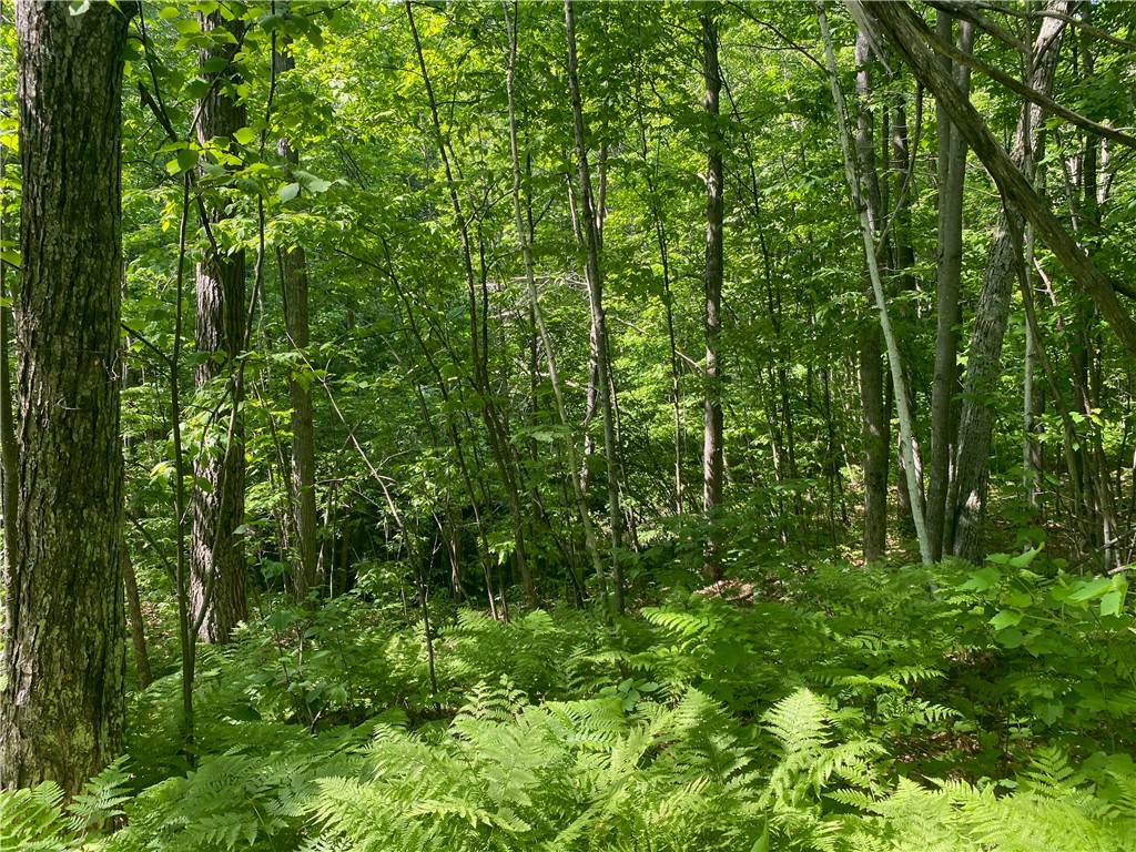 Lot 7 Secluded Trail Hayward, WI 54843 - Photo 28 of 41