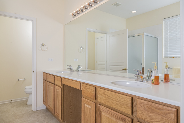 2434 Rolling Ridge Elgin, IL 60124 - Photo 11 of 17 a bathroom with a sink and a large mirror