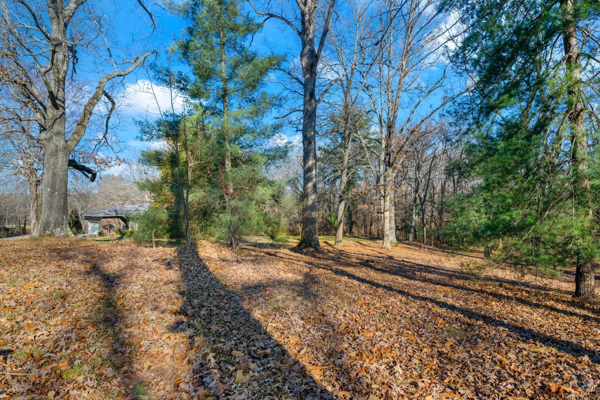 A Pickney Road Winchester, TN 37398 - Photo 2 of 9