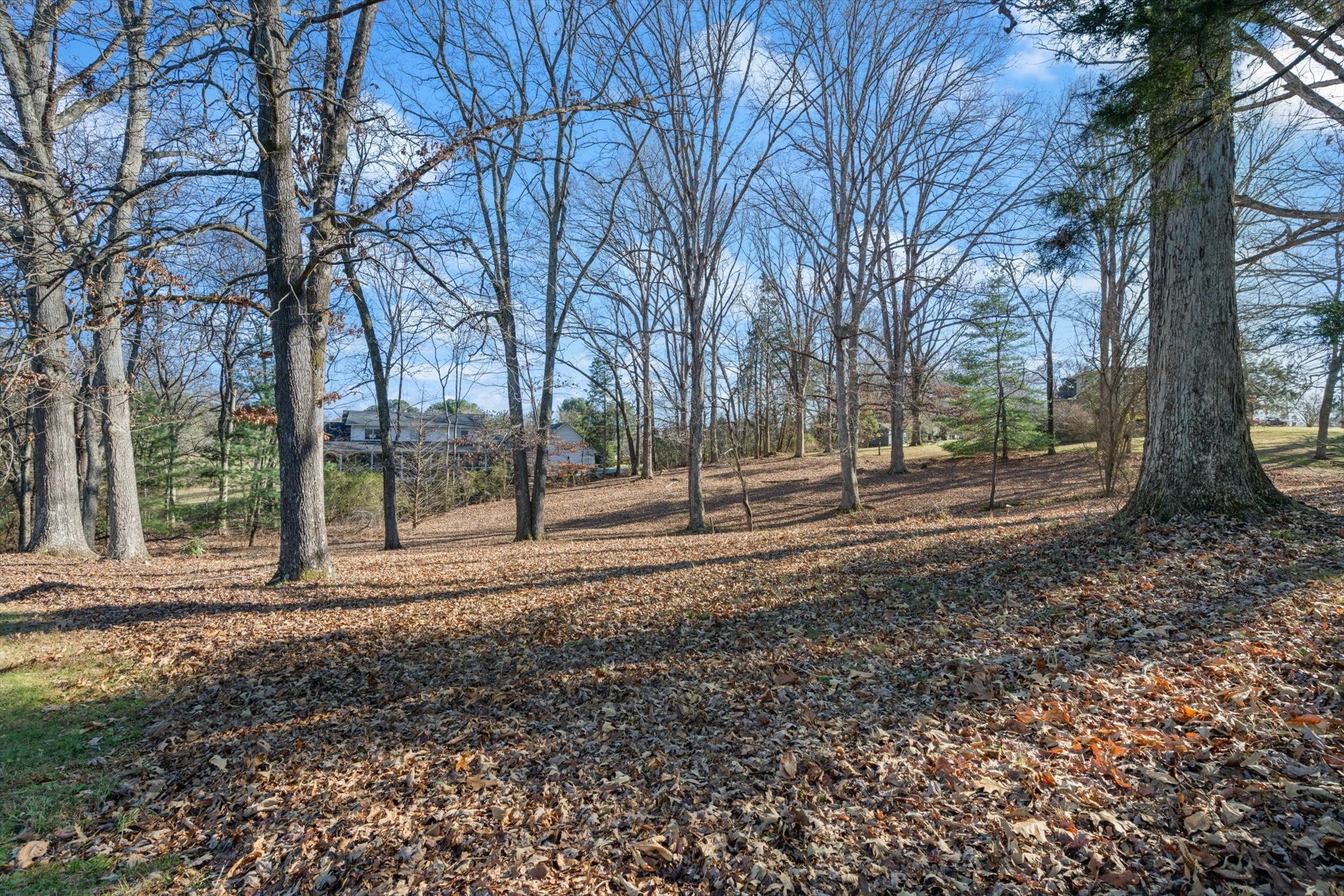 A Pickney Road Winchester, TN 37398 - Photo 3 of 9