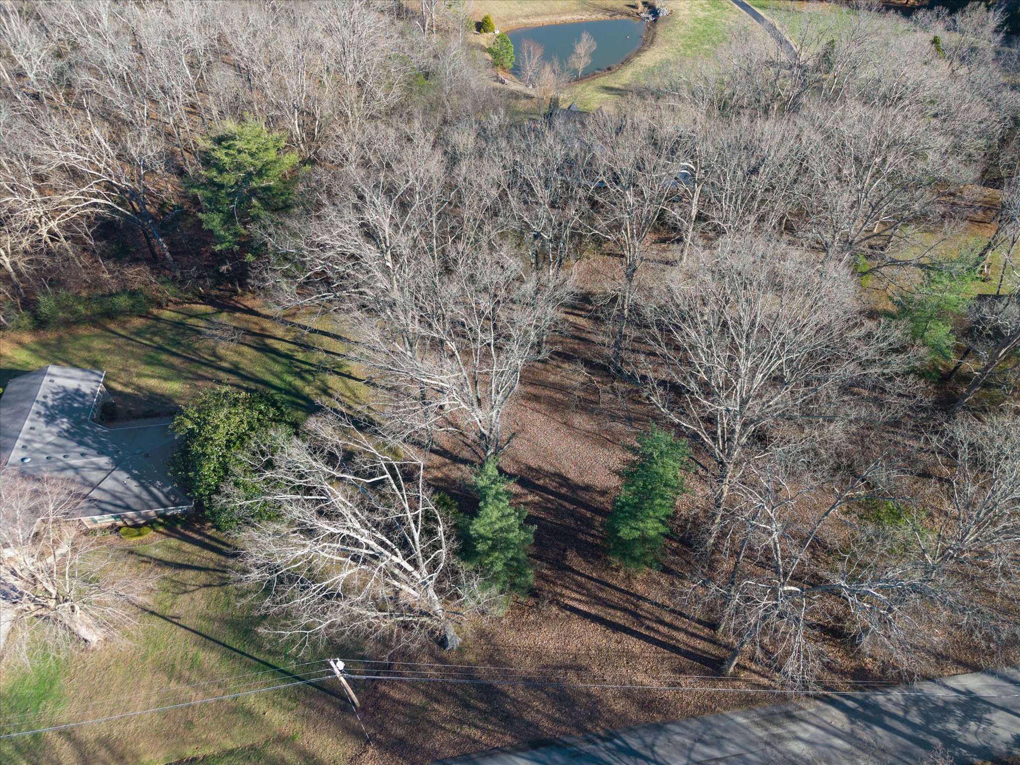 A Pickney Road Winchester, TN 37398 - Photo 6 of 9