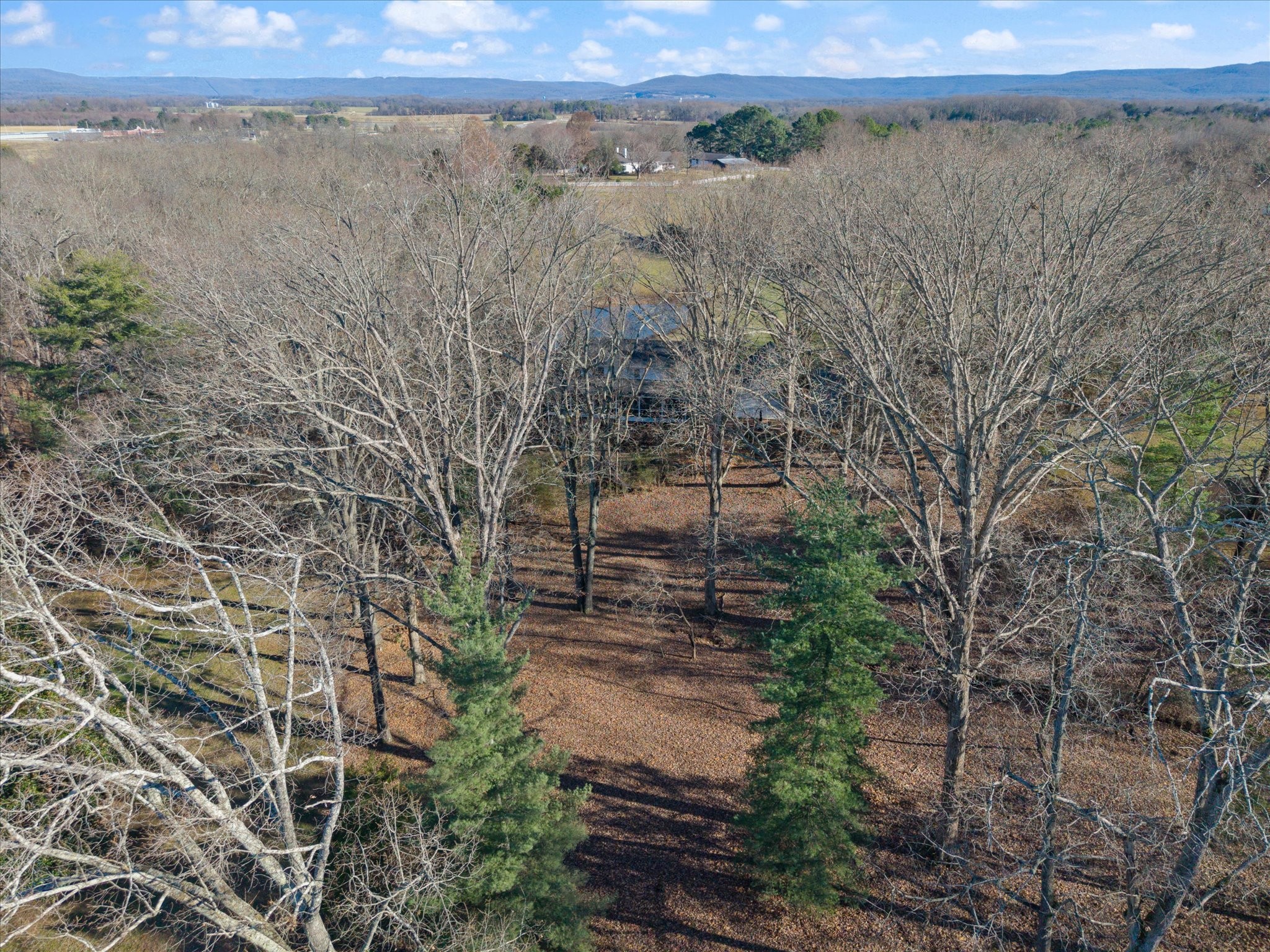 A Pickney Road Winchester, TN 37398 - Photo 8 of 9