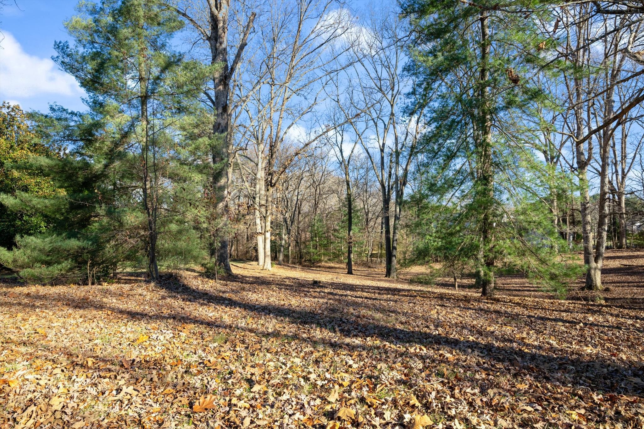 A Pickney Road Winchester, TN 37398 - Photo 9 of 9