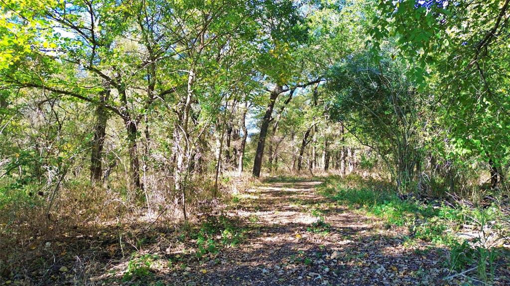 0 Bee Creek Road Maypearl, TX 76064 - Photo 10 of 39 a view of outdoor space and yard