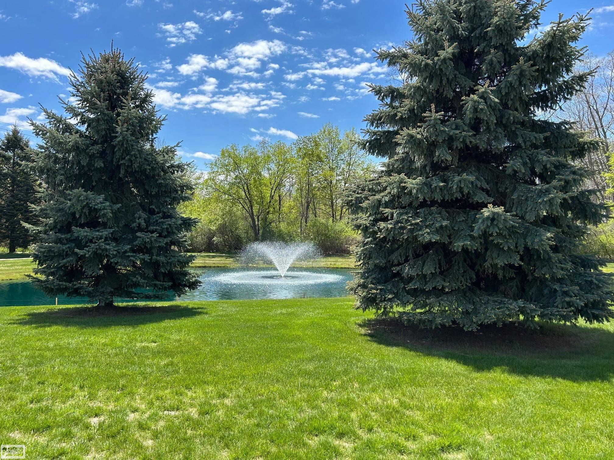8131 Huntington Ridge Court Washington, MI 48094 - Photo 6 of 37