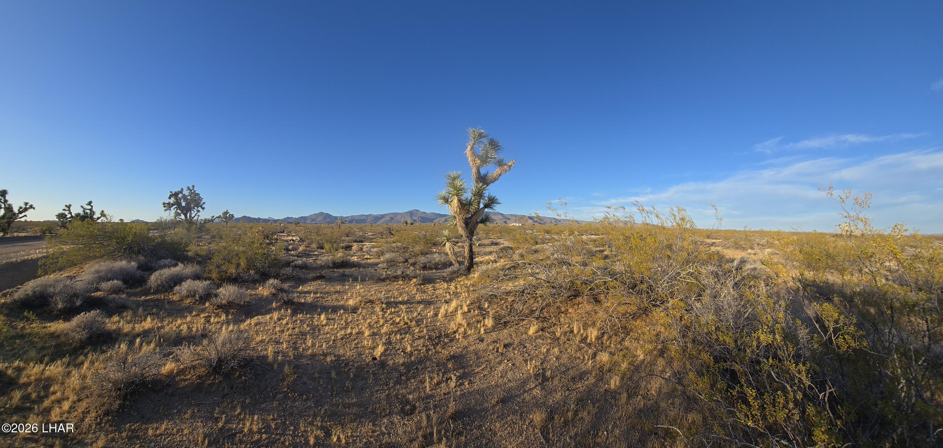 122-37-007 South John Wayne Road Yucca, AZ 86438 - Photo 16 of 21
