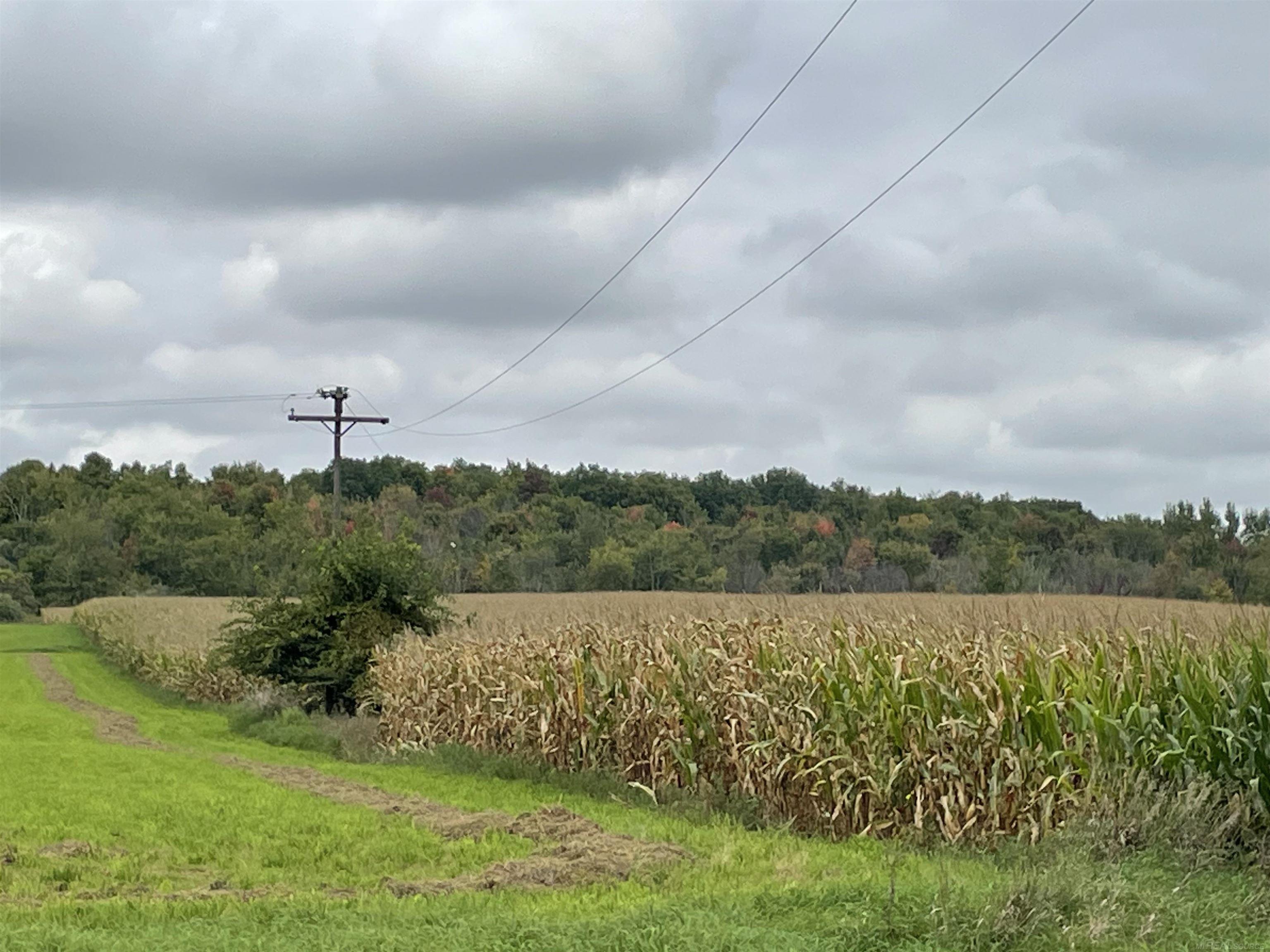 - North Sheridan Road Caro, MI 48723 - Photo 3 of 6