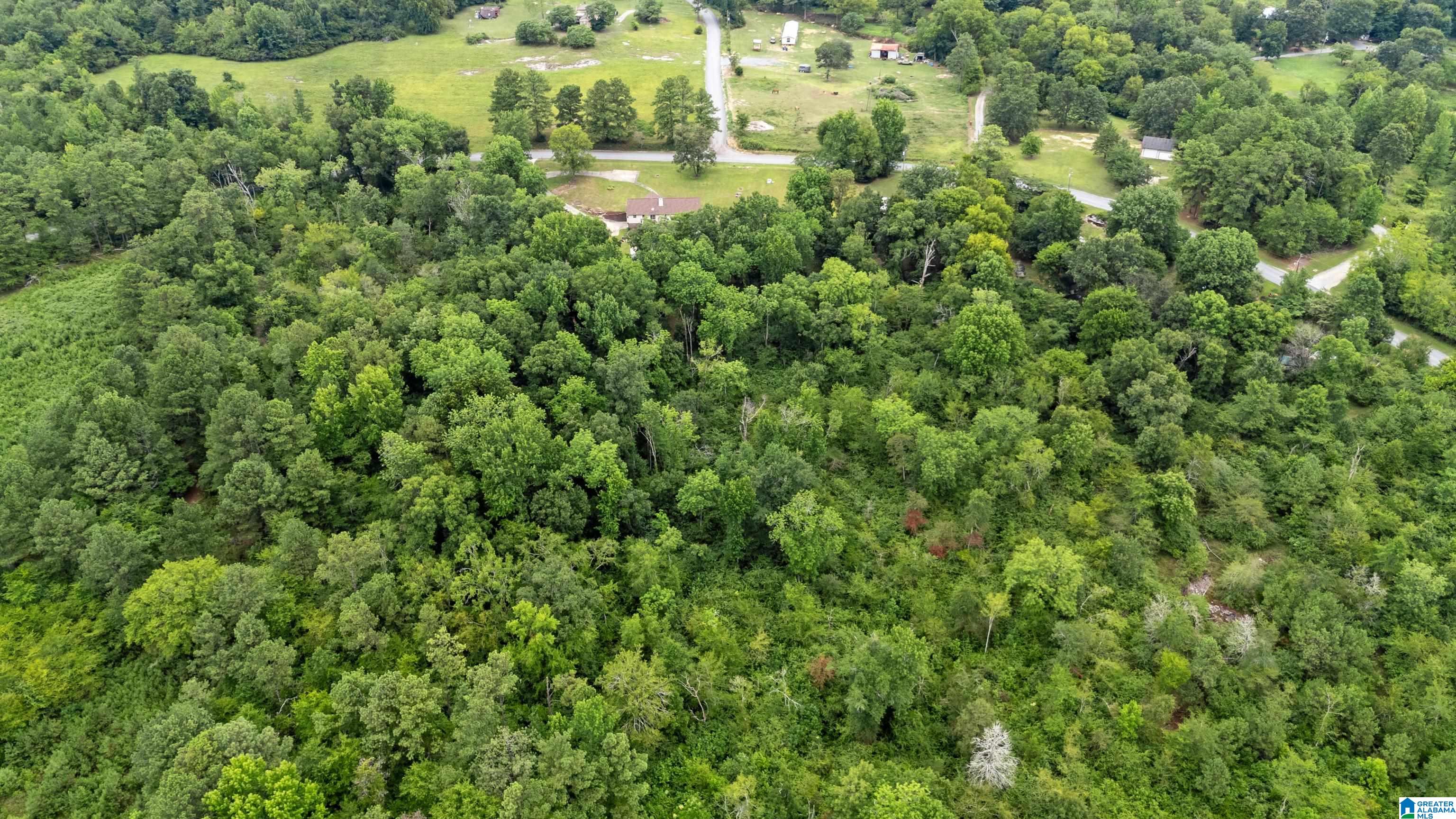 700 High Rock Road Hayden, AL 35079 - Photo 63 of 76