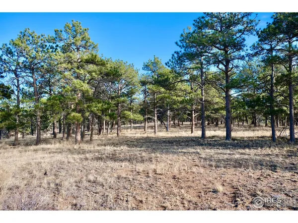 $250,000 | 0 Walno Avenue, Livermore, CO 80536
