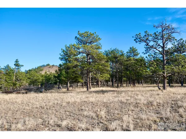 $250,000 | 0 Walno Avenue, Livermore, CO 80536