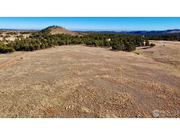 $250,000 | 0 Walno Avenue, Livermore, CO 80536