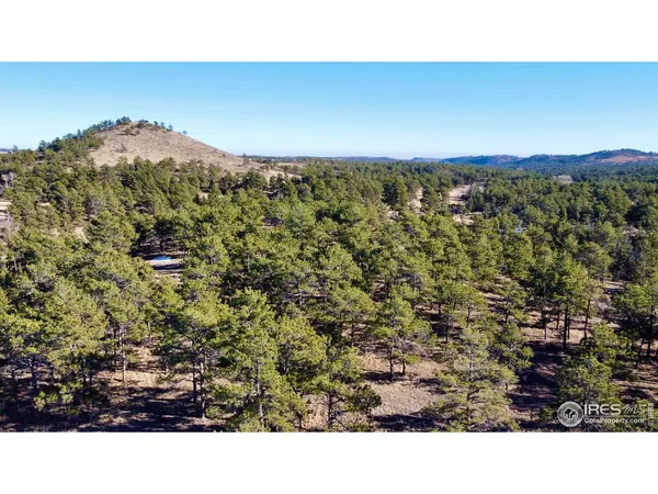 $250,000 | 0 Walno Avenue, Livermore, CO 80536