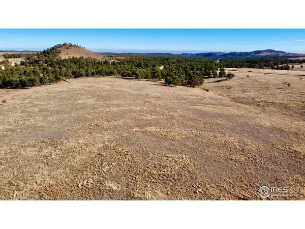 $250,000 | 0 Walno Avenue, Livermore, CO 80536