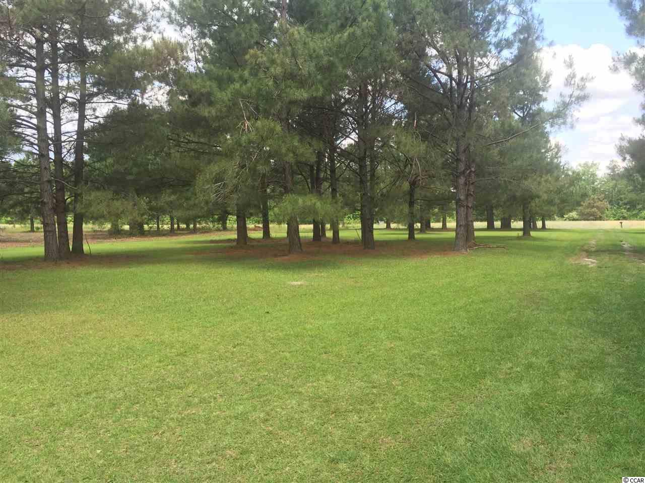 1990 Church Road Green Sea, SC 29545 - Photo 24 of 25 Gallery Image 24