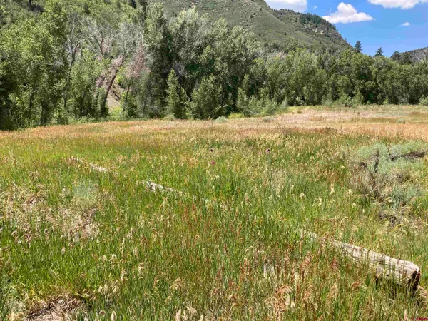 a view of a yard with a house