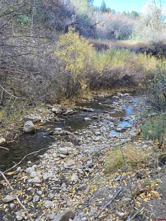 a view of a lake with a yard