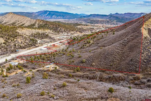 a view of a dry yard with trees