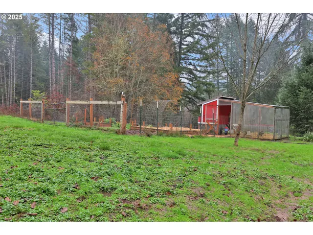 a view of a back yard