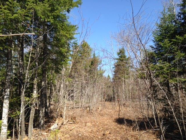 27 Ken Jordan Road Ellsworth, ME 04605 - Photo 9 of 15 Land/lot