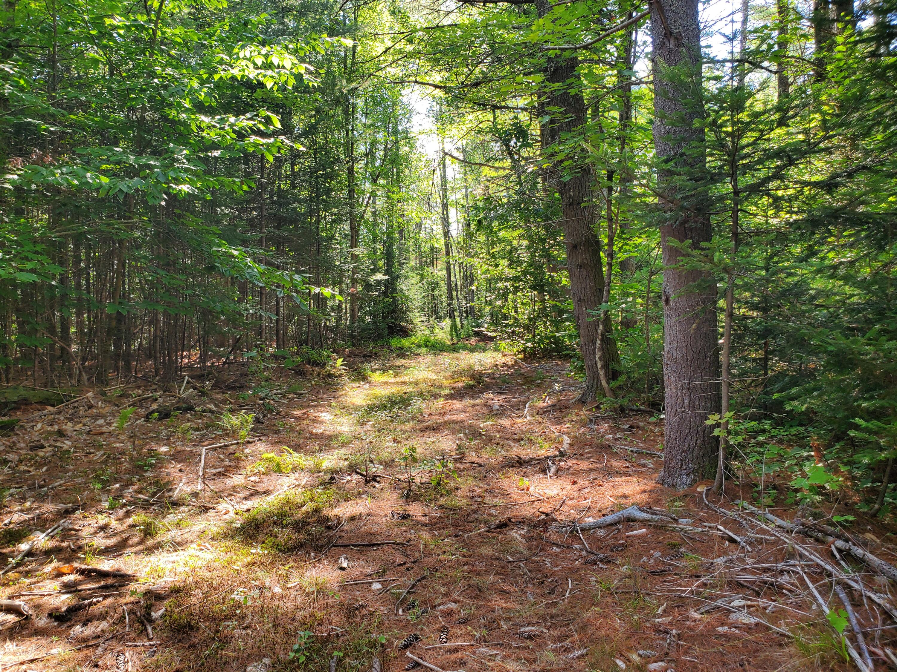 Tbd Upton Road Harrison, ME 04040 - Photo 9 of 13 20220819_154157