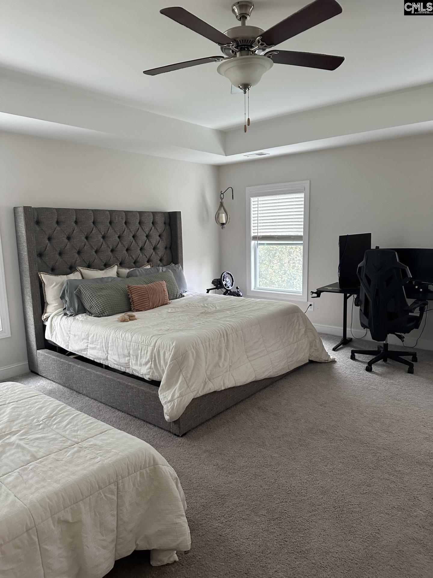 524 Triumph Road Chapin, SC 29036 - Photo 25 of 50