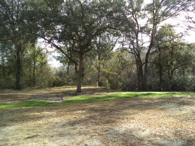 4789 Crooked Road Tallahassee, FL 32310 - Photo 1 of 2 Gallery Image 1