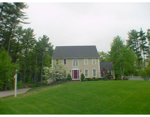a view of a house with backyard and garden