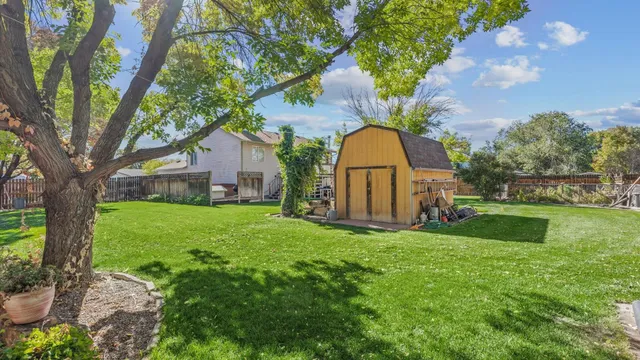 a view of a back yard
