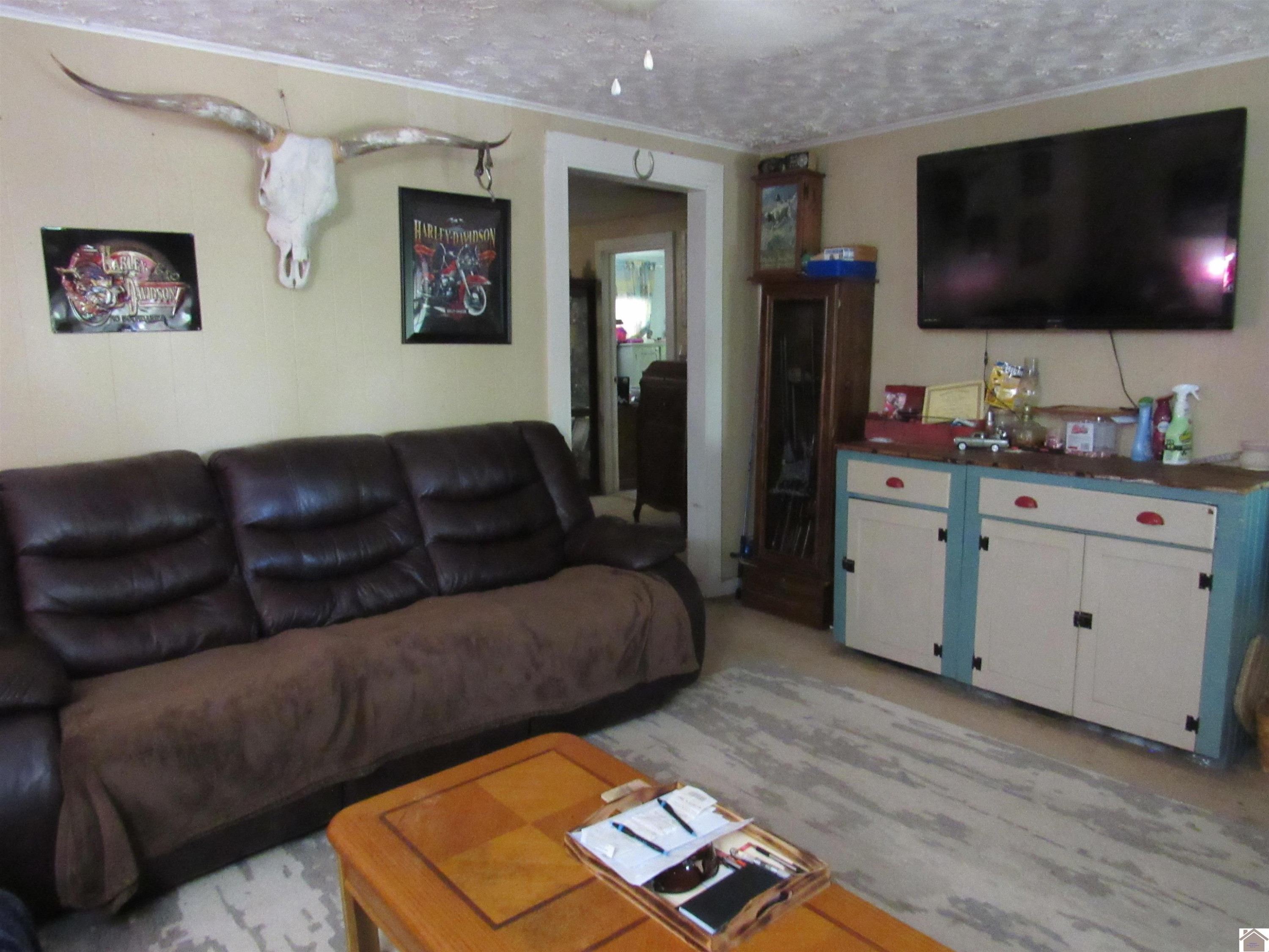 16124 Linton Road Cadiz, KY 42211 - Photo 6 of 30 Photo 6