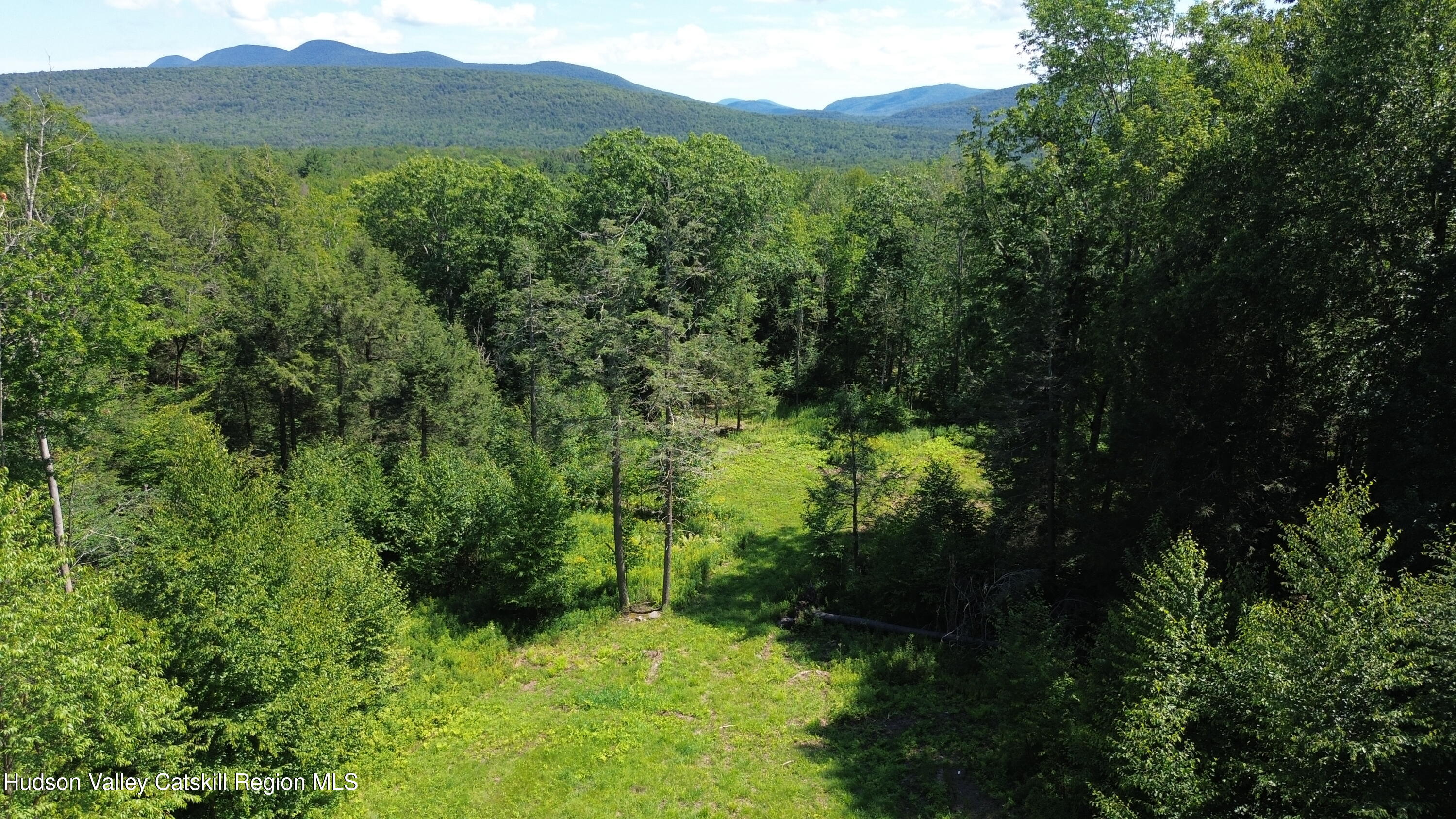 0 North Ridge Extension Windham, NY 12496 - Photo 1 of 10 DJI_0284