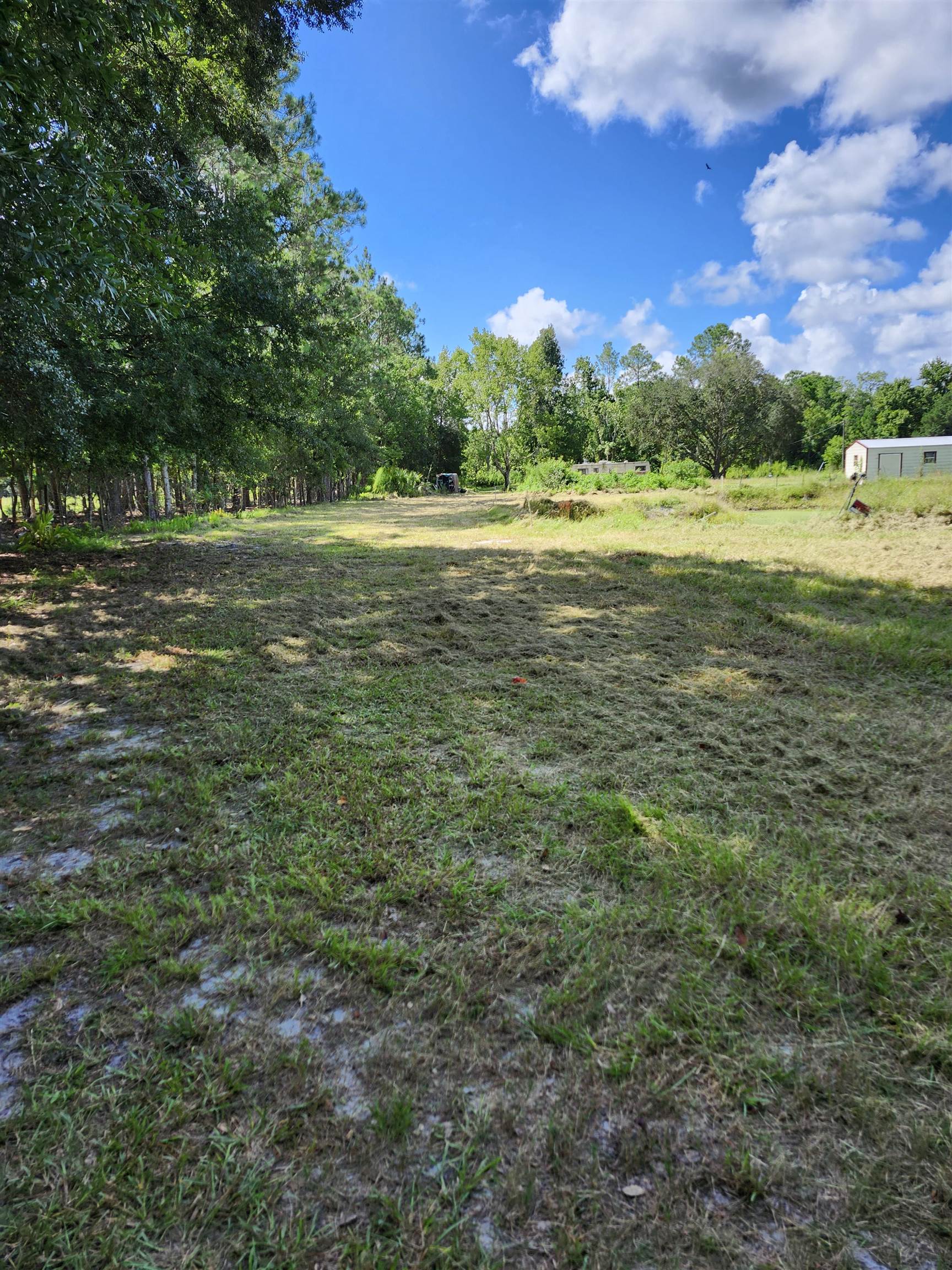 2861 Pellicer Road, Unit 3 St. Augustine, FL 32092 - Photo 6 of 17 Gallery Image 6