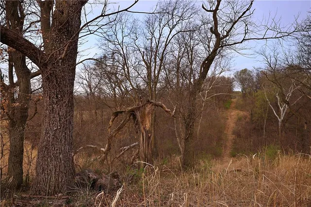 $399,000 | Southwest Old Highway Road, Rushville, MO 64484