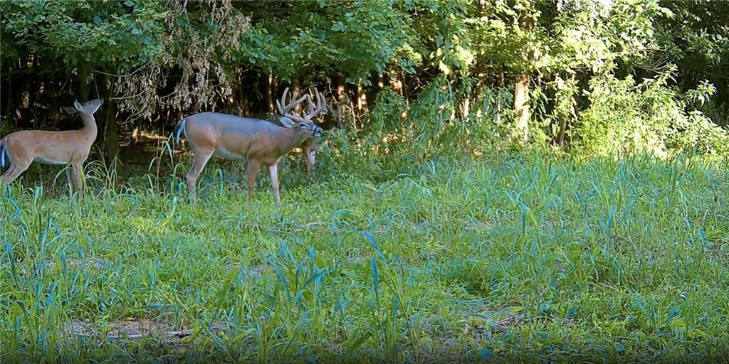 Southwest Old Highway Road Rushville, MO 64484 - Photo 11 of 47
