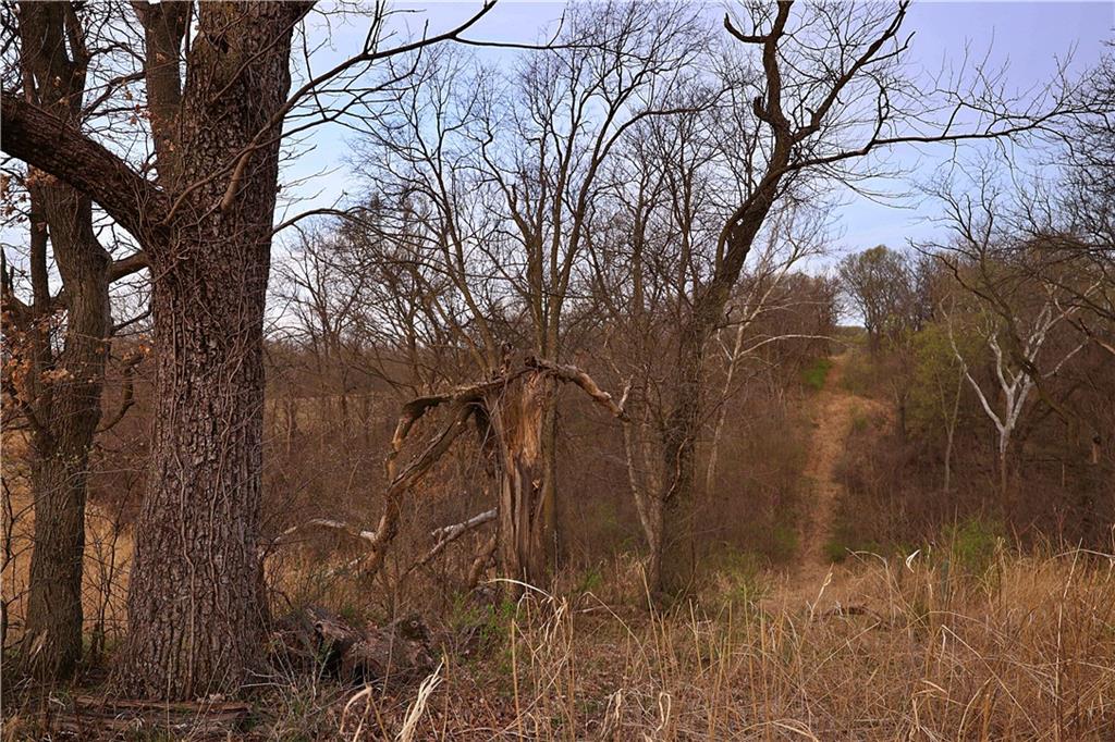 Southwest Old Highway Road Rushville, MO 64484 - Photo 12 of 47