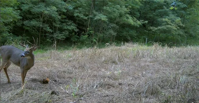 $399,000 | Southwest Old Highway Road, Rushville, MO 64484