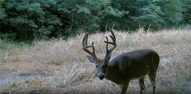 $399,000 | Southwest Old Highway Road, Rushville, MO 64484