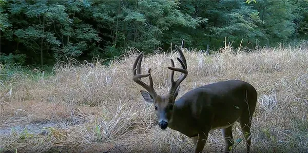 $384,900 | Southwest Old Highway Road, Rushville, MO 64484